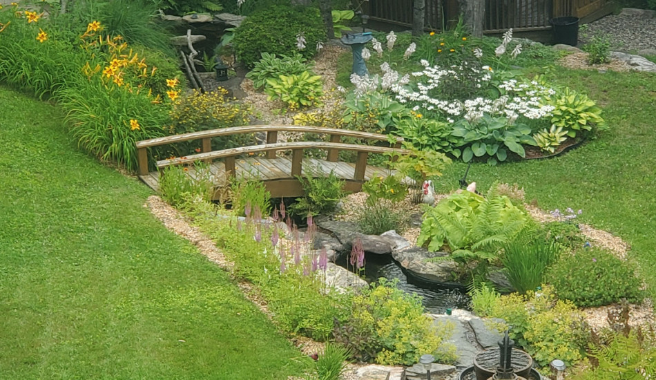 Chertsey en fleurs – Bravo aux récipiendaires!